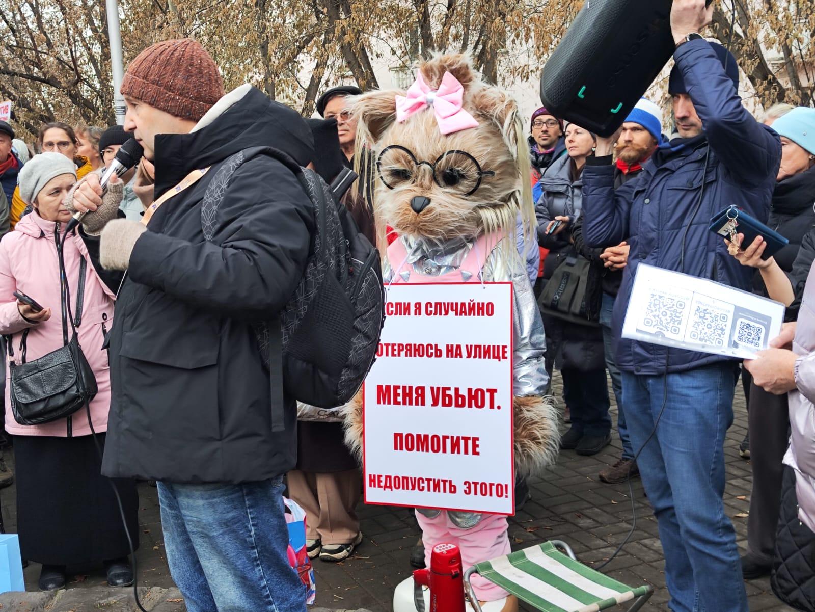 Фото В Новосибирске опубликованы кадры массового митинга против убийства домашних животных 4 - Сиб.ФМ Фото В Новосибирске опубликованы кадры массового митинга против убийства домашних животных 4
